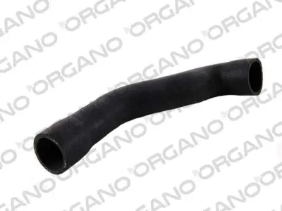 UCPA 21H141230 Radyator Alt Hortumu E39 95>04 11531740832, 1740832, 11531720722, 11531708499, 11531433340