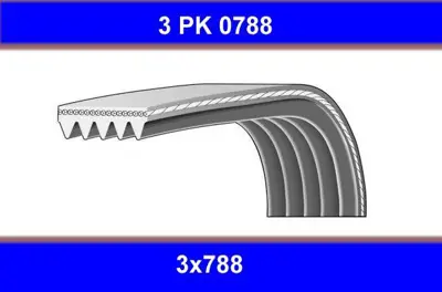 GMB GPK 3PK0788 Kanallı Kayıs 