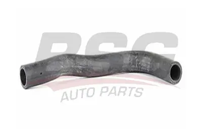 BSG 40-720-040 Radyatör Hortumu Üst 254110X000 CHH153