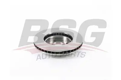 BSG 30-210-050 Fren Dıskı Ön 2095058 H1BC1125A1A
