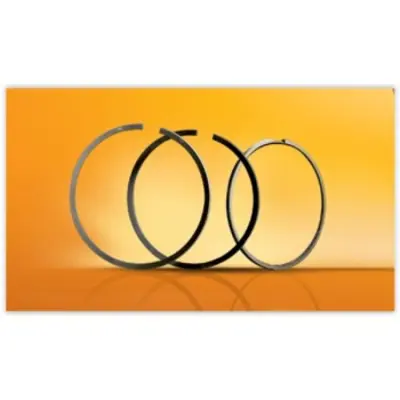 FEDERAL-MOGUL MOTORPARTS 14-020580.00 Gömlek 