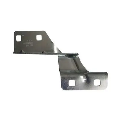 BRUCKE 8200468184 Motor Kaput Menteşesi Sağ Megane Iı 