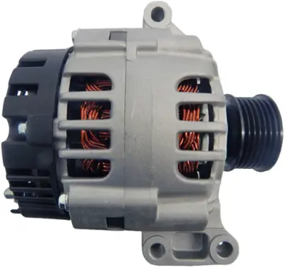 ELTA M10302781E Alternatör Gergi Rulmanı (Kütüklü) Laguna Iıı Dokker Duster Lodgy Logan Sandero 8200933753 8200808764 117502781R 7701477689 7701477694 7701477710 7701477711 7701477712 7711134313 7711135871