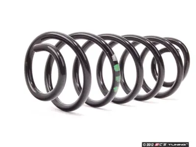 STANDART YAY 134001R Helezon Yayı Arka Bora 1,4 / 1,6 / 1,9tdı / 2,0 02 05