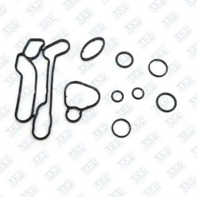 TAP 5650834 Yağ Soğutucu Orıngi A16let Insıgnıa HF2047