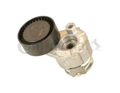 ALT 03044 Alternator Gergi Rulmanı Clıo Iı Kangoo Megane Iı Modus / Grand Modus Scenıc Iı Grand Scenıcıı Symbo A6072000070 A6072000100 1175000Q1G 1175000Q1H 1175000QAR 1175000QAU 117509654R 1175000Q0B 1175000Q0D 1175000Q1D