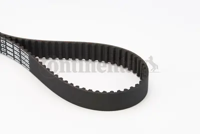 CONTINENTAL CONTITECH CT 1088 Trıger Kayısı 06D109119B