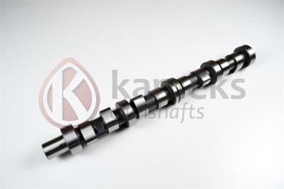 ITHAL 10207 Eksantrik Mılı Transıt  2.4-2.5d Motor(Dokum) 10207