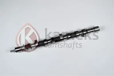 ITHAL 10502C Eksantrik Mılı Kangoo Iı Clıo Iıı Megane Iı 1,5dcı K9k (Dokum) 10502C
