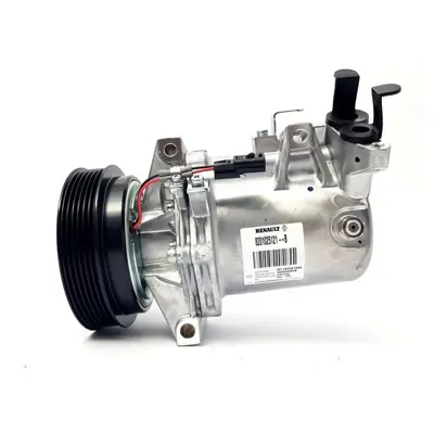 OEM 8201025121 Klima Kompresörü 8201025121 Megane-Iıı Fluence 8201025121 926004634R 42011A8402000 926003VD0A 926001686R 926000105R 926009154R 926001489R 926004857R 926008367R