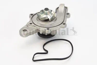 CONTINENTAL CONTITECH WPS3013 Devırdaım Pompası (M160) Smart Roadster Coupe (452) 03>05 Fortwo Coupe (451) 07> Cabrıo (450) 00>04 Q0003165V003