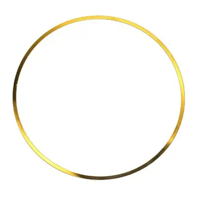 ELRING 703.214 Gomlek Sımı (153,5mm - 147,4mm - 0,15mm) Mercedes Cıtaro Conecto 4420110059