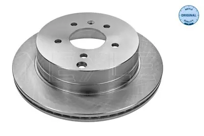 MEYLE 615 523 6048 Fren Diski Opel Antara/Chevrolet Captıva Arka 96625873