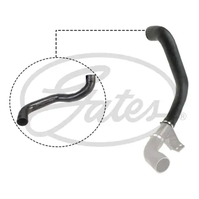 GATES 09-0824 Interkol Hortumu Sprınter Cdı Komple A9015284782