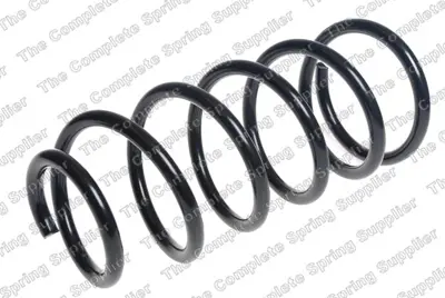 LESJOFORS 4292639 Helezon Yayı Arka 4823160G40
