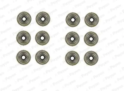 PAYEN HR5031 Keçe Subab Tk Freelander 2.5 V6  (12 Li) LUB100350x12