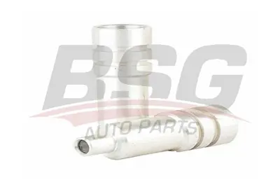 BSG 65-151-001 Enjektör Yuvası 3007127, 5817574, 817384, 97252583, 98109671