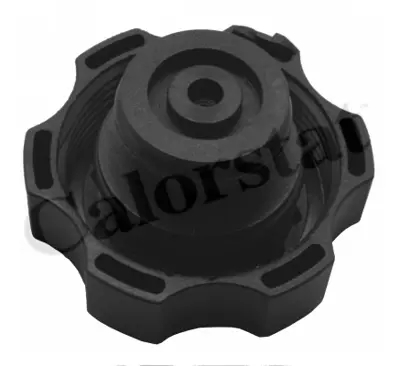 CALORSTAT by Vernet ET0024C1 Radyatör Yedek Su Deposu Opel Insıgnıa A (Sensörsüz) 22953219