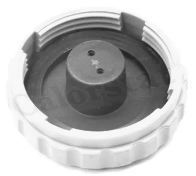 CALORSTAT by Vernet ET0079C1 Radyatör Yedek Su Deposu Opel Corsa B  Çift Çıkışlı 93246007