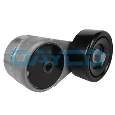 DAYCO APV2998 Gergi Kütüğü Cerato 1.6 Gdı G4fc 06> 252812B000