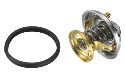 WAHLER 4176.80D Termostat 80'C 601/602/603/605/606 A6022000015
