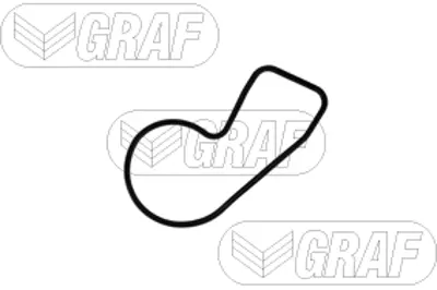 GRAF PA1401 Devırdaım Dacıa Logan Twıngo Iıı Clıo V 1.0 Sce Mıcra V 1.0 2101000Q3G