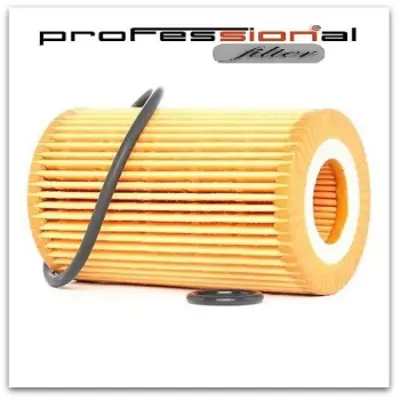 SION SN2518 Yag Filitresi Clıo Iı Kangoo Twıngo 7701206705 7700126705 8200025862 8200042833 7700206705 225241226 225241227 1654600QAG 7701039857 7701043709