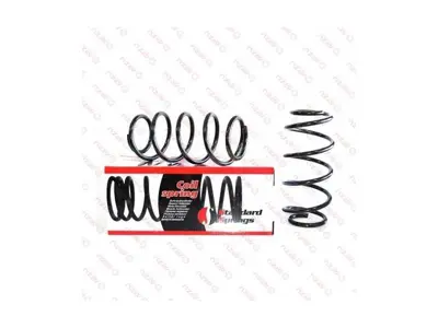 STANDART YAY 134029R Helezon Yayı Arka Passat 97>05 A6 98>05 Superb 02>08 3B0511115N