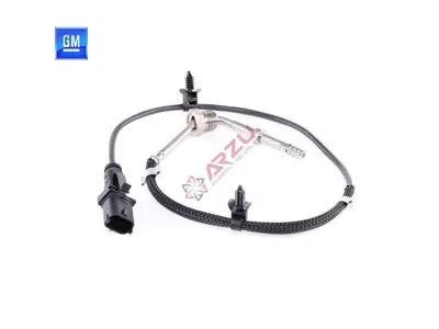 GM 55596171 Sensor