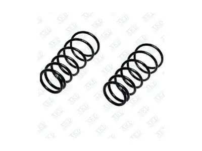 AKD OP111134 Helezon Yayı Arka Takım Aveo T300 95216092, 95416092