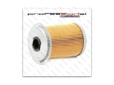SION SM3531 Mazot Filitresi Master Iı Trafıc Iı Movano Vıvaro 1,9dcı / 2,0dcı / 2,5dcı (Delphı Yuva) 1640000Q0A, 1640000QAB, 1640000QAC, 1640500Q0A, 1640500Q44, 1640500QAA, 4404035, 4404191, 4404214, 4411639