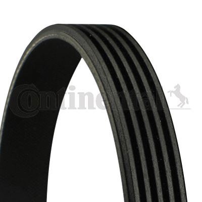 CONTINENTAL CONTITECH 5PK785 Kanallı Kayıs Bmw 1011611 11281401162 11281437450 11282247183 11287786171 11287787376 11287803527 11287830946 1401162 2247183