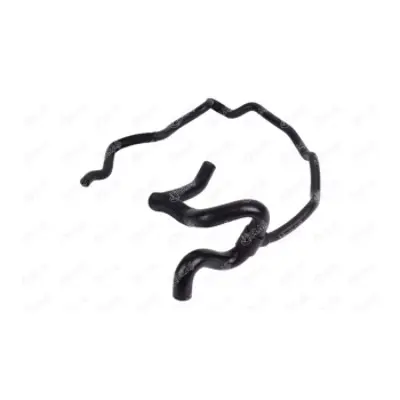 IBRAS 11048 Radyator Hortumları Dacıa Lodgy  1.6 215031904R