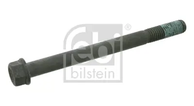 FEBI BILSTEIN 18476 Sılındır Kapak Saplaması - Daf 300979