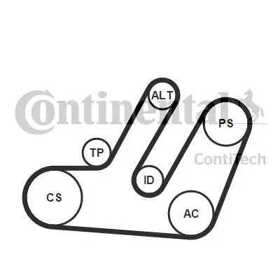 CONTINENTAL CONTITECH 6PK1580K1 V Kayıs Setı Amarok Caddy Passat / Cc Jetta Polo Tıguan Touareg A4 A5 A6 Tt Ibıza Rapıd Yetı 1,4tdı 38903315AD 38903315AG 38903315AH 38903315AJ 38903315AL 38903315AM 38903315AN 38903315AP 38903315T 3G145276 3G903016E 3G903016F 3G903016G 3G903016L 3G903023F 3G903023G 3G903119B 3H903023E 3H903023L 3H903023M 3H903023Q 3H903026 3H903026A 3H903026B 3H903026C 3L903016A 3L903017 3L903017B 3L903017E 3L903023C 3L903023J 3L903023K 3L903023L 3L903023M 3L903023N 3L903023P