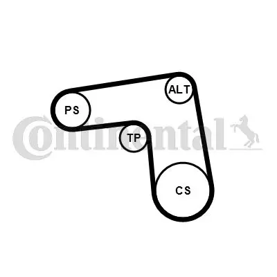 CONTINENTAL CONTITECH 7PK1076K1 Alternator Kayısı+klıma Kayıs+rulman Kıtı Ducato 2,3jtd 2,3d Multıjet 7pk1076 