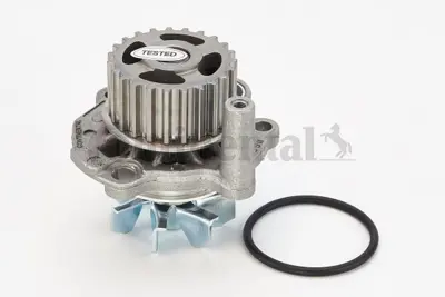 CONTINENTAL CONTITECH WP6041 Su Pompası 6A121012G