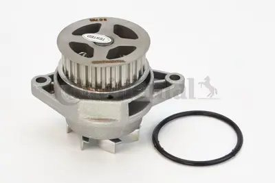 CONTINENTAL CONTITECH WP6029 Su Pompası 36121008G
