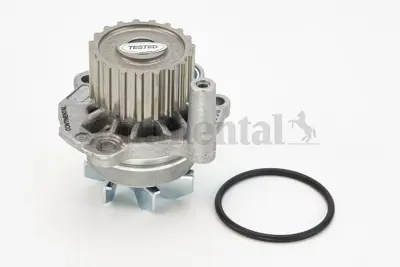 CONTINENTAL CONTITECH WP6005 Su Pompası 38121011AV