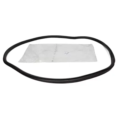 PSA 9673084680 Ön Kapı Lastiği  9673084680