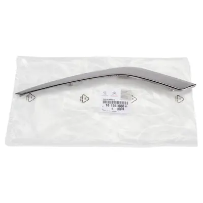 PSA 1613503380 Sağ Sis Çerçeve Nikelaj 1613503380 9810738180