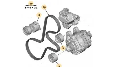 PSA 1613844280 Alternator V Kayis¸i Kiti Berlingo Ii Berlingo Iii Partner Ii Partner Tepe C5×7 Jumpy Iii Nemo Scudo Iii 407 Dv6 1.6hdi 16v 206 Bipper Dv4td 1.4hdi 06> 1611278180 1613445180 1613844280