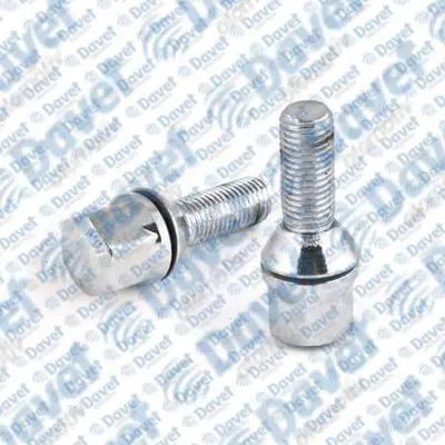 SWAPP 34704 Bıjon Cıvatası Pullu Kromajlı R9 - R11 8200058101