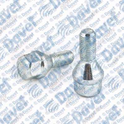 SWAPP 34718 Bıjon Cıvatası Cınko R9 - R11 8200058101