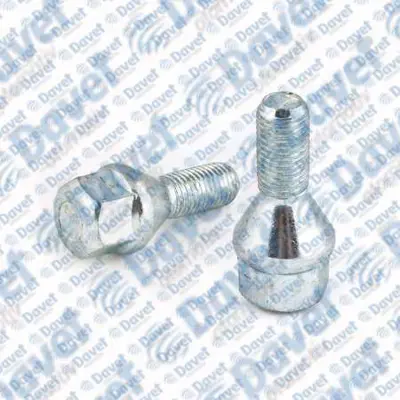 SWAPP 34718 Bıjon Cıvatası Cınko R9 - R11 8200058101