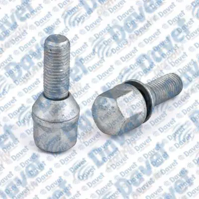 SWAPP 34728 Bıjon Cıvatası Pullu Geomet R9 - R11 8200058101