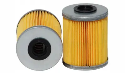 SARDES SF213 Yakıt Fıltresı Ford Cargo (Sıms) / (Mf 365) AS1302