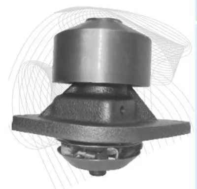 TIRSAN WP 00501 02 02 Devirdaim Fatıh Euromotor J803285