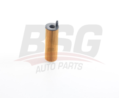 BSG 15-140-011 Yağ Filitresi 11428575211