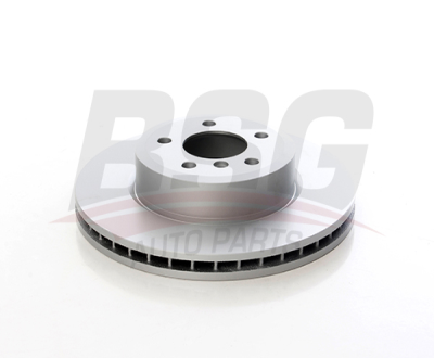 BSG 15-210-027 Fren Dıskı Ön 34113400151